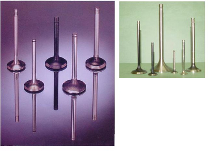 Engine Valves