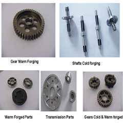 Cold & Warm Forging Components